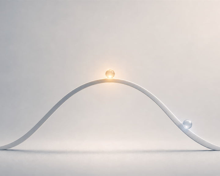 Why More Neurotransmitter Precursors Do Not Automatically Mean Better Results