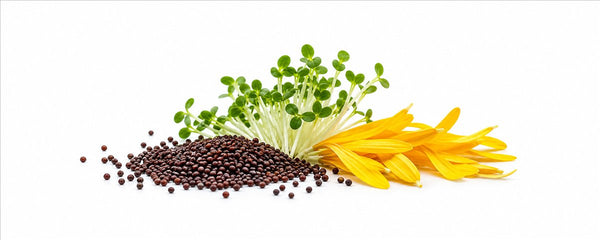 Plant Compounds