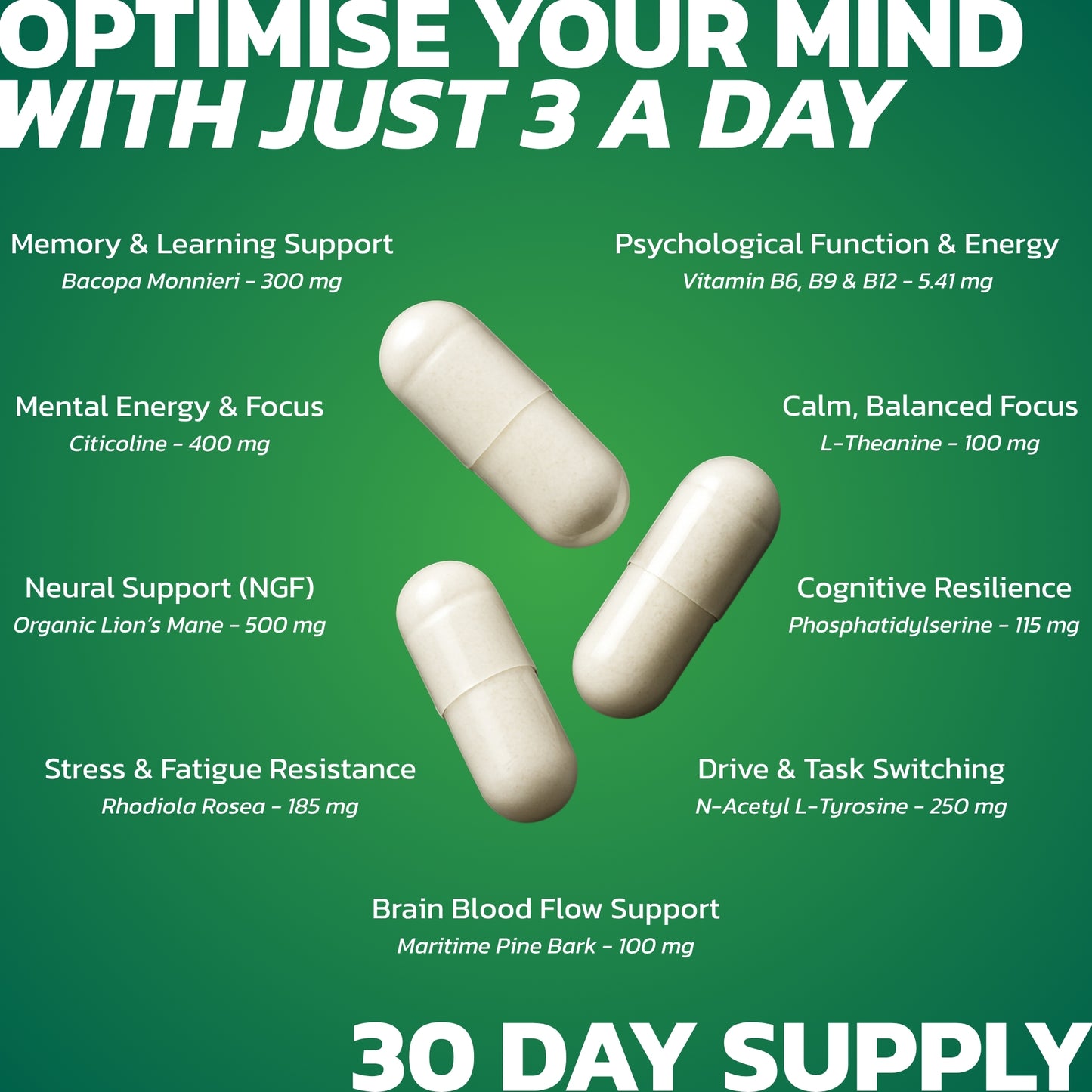 Mentex Support - Nootropic Brain Supplement