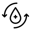 Cerebral Circulation